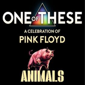 One Of These - – A celebration of Pink Floyd / Animals