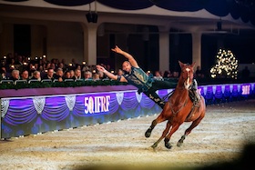 Mittwochabend - "Der große Festhallen Show Abend"