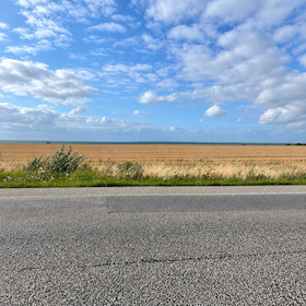 Road Movies