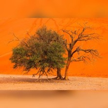 Namibia - Die Schönheit Afrikas / Multivisionsshow von Andreas Huber