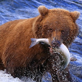 Alaska und der Südwesten der USA