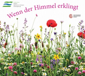 Sommerkonzert - Wenn der Himmel erklingt