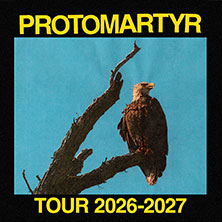 Protomartyr