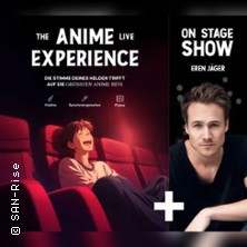 The Anime Experience