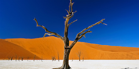 PLANETVIEW präsentiert: Namibia & Botswana