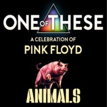One Of These – A celebration of Pink Floyd / Animals Tour