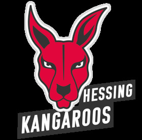 Bayer Giants Leverkusen - BG Hessing Leitershofen