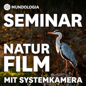 MUNDOLOGIA-Seminar: Naturfilm in der Praxis