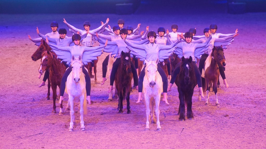 MiMaMo - Die Pferde-Kinder-Pony-Show - SONNTAG