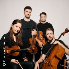 Opus 13