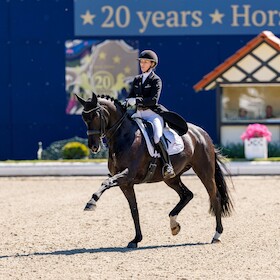 Horses & Dreams - Tagesveranstaltung Donnerstag