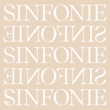 Sinfoniekonzert 2 Sonntag