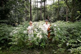 Musik live im Dormitorium - Stereo Naked - Bluegrass und Irish Folk Redefined