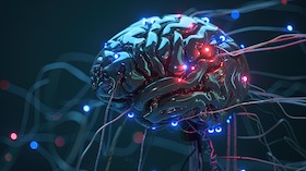 Urania und Berlin Brains on Tour: Objektive Subjektivität – Wie Maschinen lernen, Menschen zu verstehen