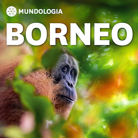 MUNDOLOGIA: Borneo