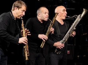 Trio Lézard