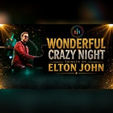 EJT - A Tribute to Elton John / Wonderful Crazy Night