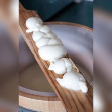 Workshop - Mozzarella-Kunst - Mit Mara von Mozzamania
