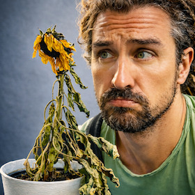 Mago Masin - Naturtalent