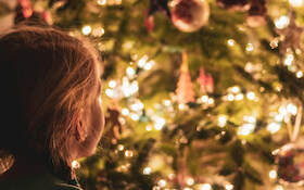 DAS WEIHNACHTSWUNDER