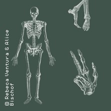 Anatomie von Auge bis Zeh