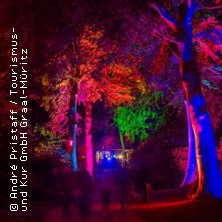 Nachts im Park