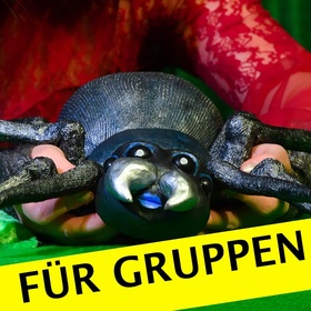 Otto, die kleine Spinne - Gruppenvorstellung