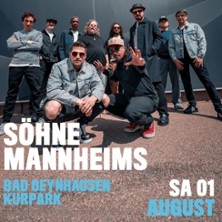 Söhne Mannheims