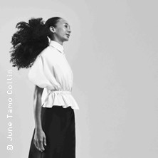 b12 sungrazers - Elefantin | Cree Barnett Williams