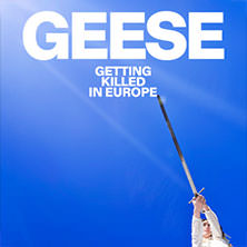 Geese