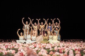 Nelken - Ein Stück von Pina Bausch