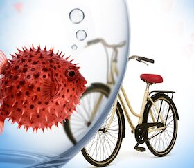 Fisch sucht Fahrrad - Komödie mit Caroline Beil, Janina Hartwig, Dieter Landuris u.a.
