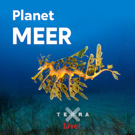 Planet Meer - Terra X Live