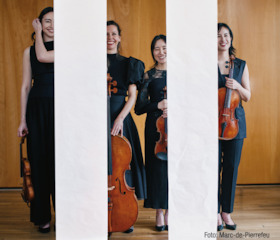 Quatuor Ardeo