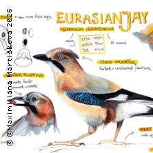 Nature Journaling: Die Welt der Vögel