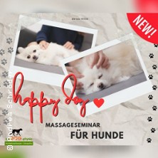 Massage-Kurse für Hunde & Halter