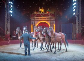 Ulmer Weihnachtscircus - Vorpremiere zugunsten der Aktion 100.000