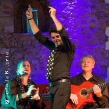 Flamenco en camino