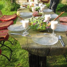 Wildkräuterkurs