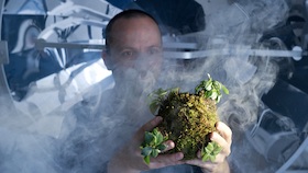 Carbon Negative