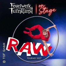Feuerwerk der Turnkunst - on stage 2027