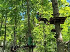 Der Wald aus einer anderen Perspektive: Auf- und Abseilen im Kletterpark
