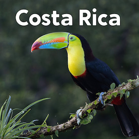 Costa Rica - Naturparadies zwischen Karibik und Pazifik