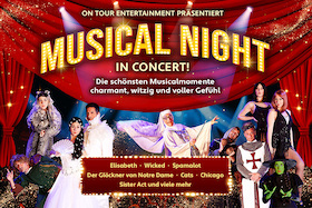 Musical Night in Concert
