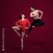 Ballett am Rhein: Don Quijote