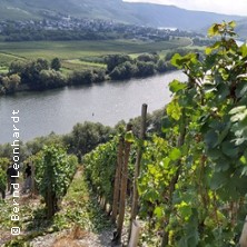 Die Mosel - viel mehr als "nur" Riesling