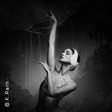 Grand Classic Ballet - Schwanensee - Jenseits der Bühne mit live Streichquartett