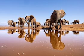 Live-Multivision: Reiner Harscher - Südliches Afrika