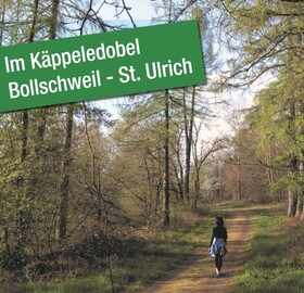 Waldbaden mit Naturcoach Miriam Baldes