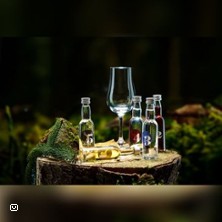 Gin Tasting